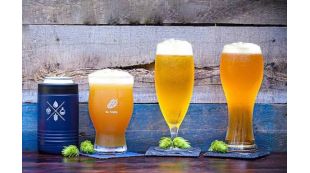 APA и IPA: что это такое, в чем отличия и какой стиль пива выбрать